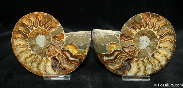 Inch Polished Pair From Madagascar #1442